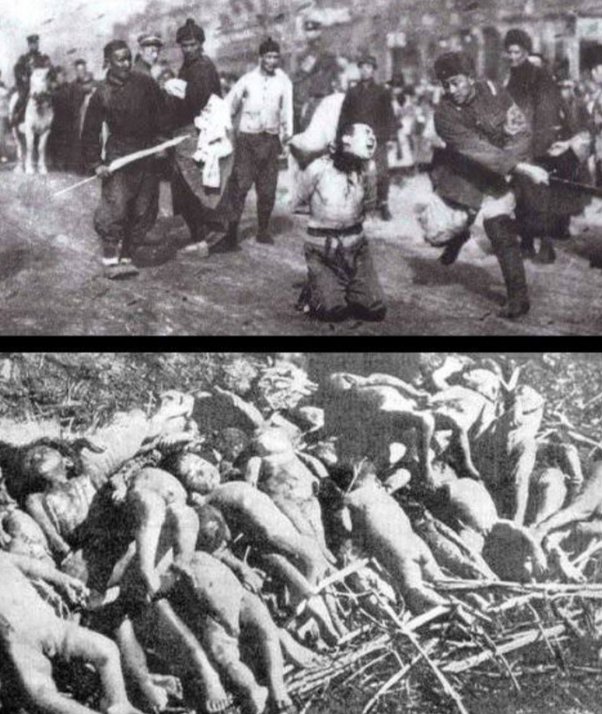 main-qimg-4d76d66e12b26a7f94223d52608b4c8a-lq (1).jpg