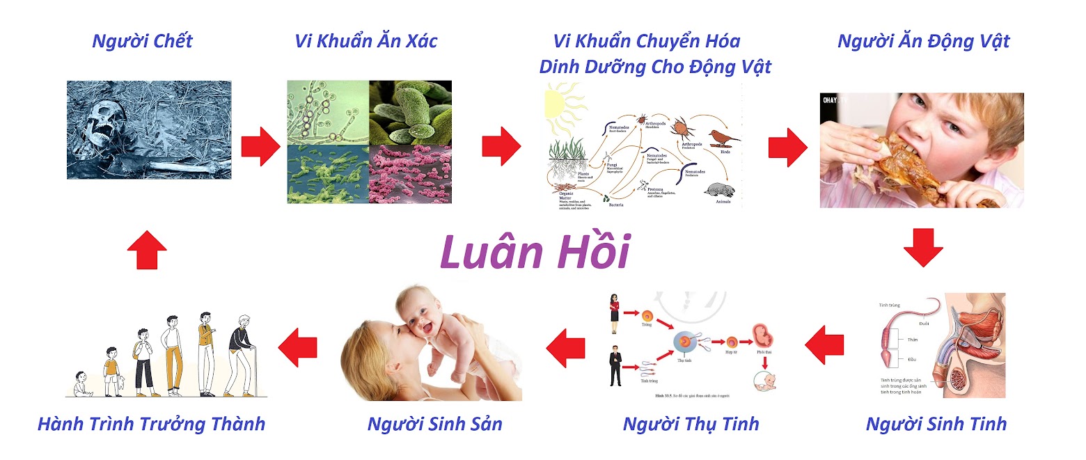 45299021-710901455943728-69341-6239-7219-1541252449 (1).jpg