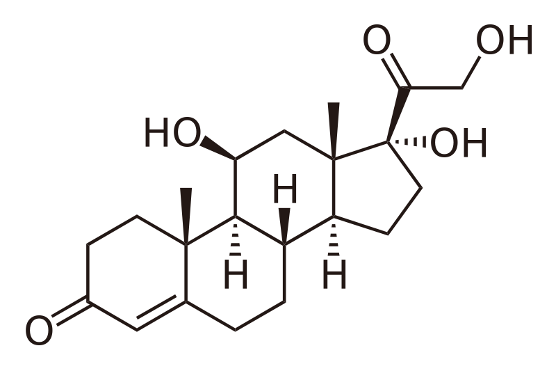 800px-Cortisol2.svg.png
