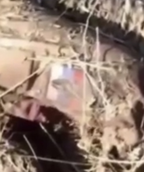 Screenshot_20240614_102431_Samsung Internet.jpg