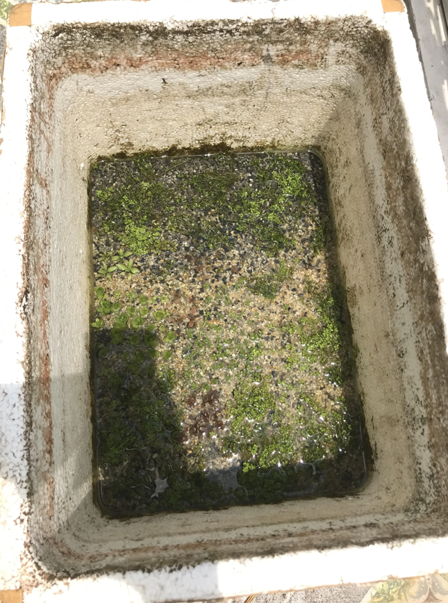 Screenshot 2024-08-11 144841.png