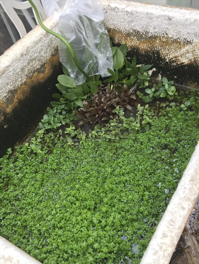 Screenshot 2024-08-11 151359.png