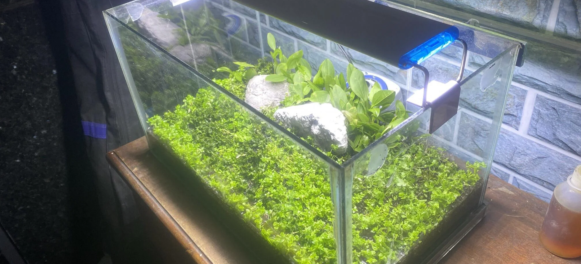 Screenshot 2024-08-12 232928.png