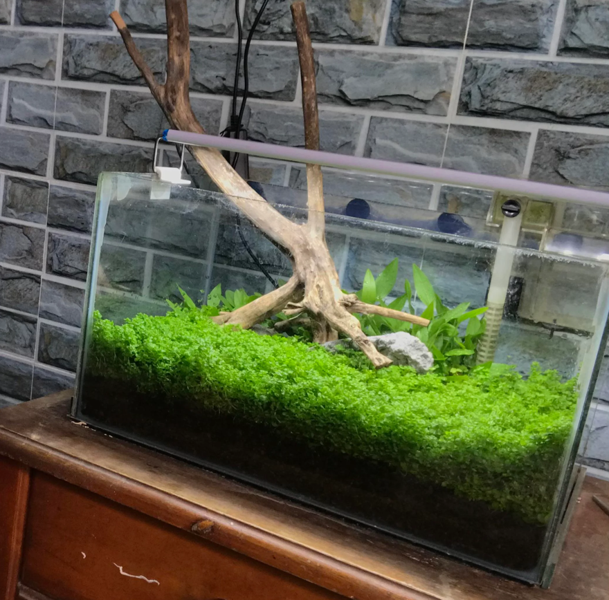 Screenshot 2024-08-12 232939.png