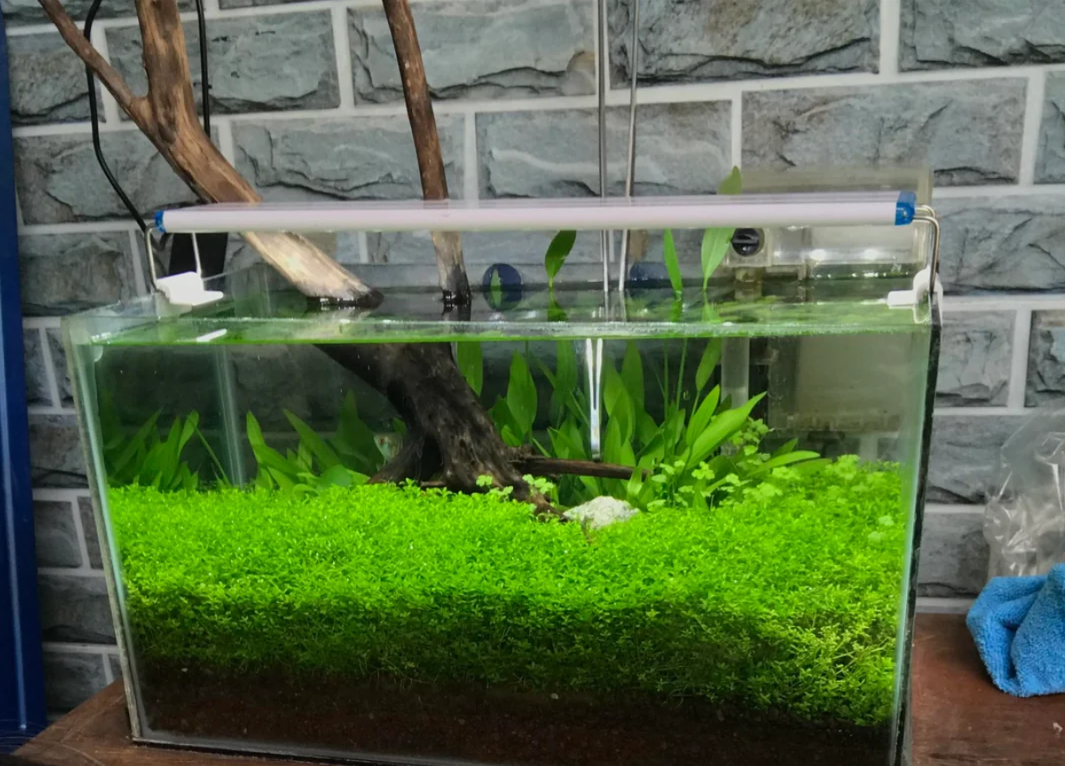 Screenshot 2024-08-12 232949.png