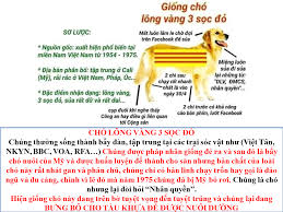 tải xuống.jpeg.jpg