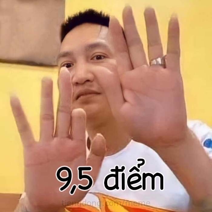 meme-9-5-diem-huan-hoa-hong.jpg
