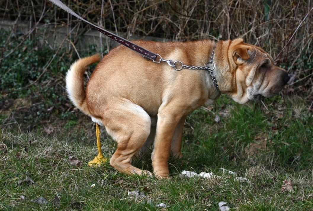 Screenshot_20250310_154927_Samsung Internet.jpg