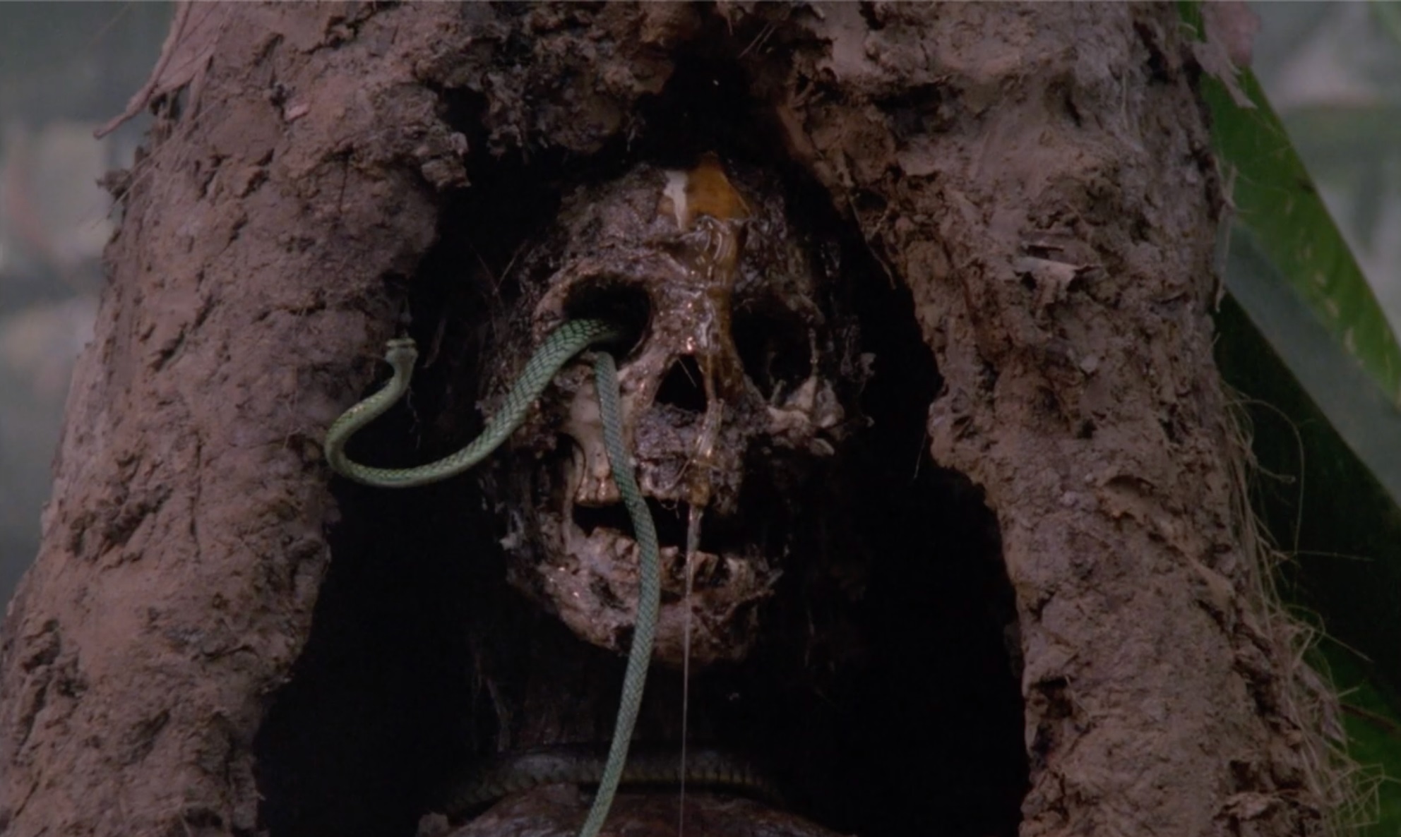 Green-Inferno-Cannibal-Holocaust-II-1988-movie-film-jungle-shocker-corpse.jpg