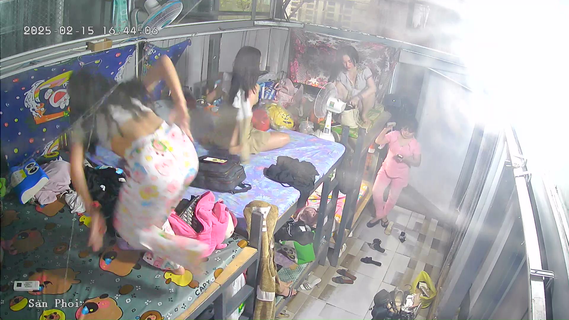 20250311124339575_IPKênh 03_D99509677.jpeg