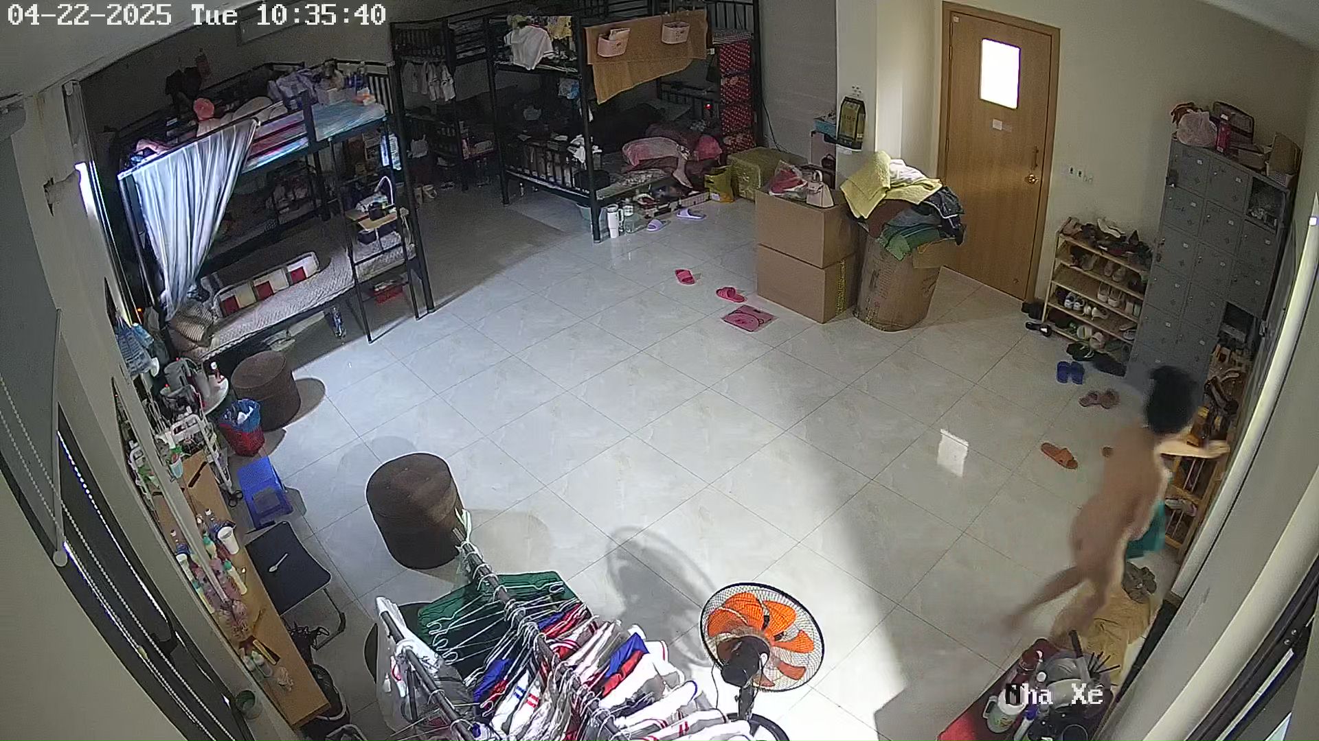 20250422181757540_IPKênh 13_AK7253960.jpg