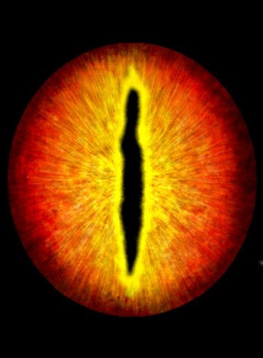 Dragon Eyes - Yellow _ Red.jpg