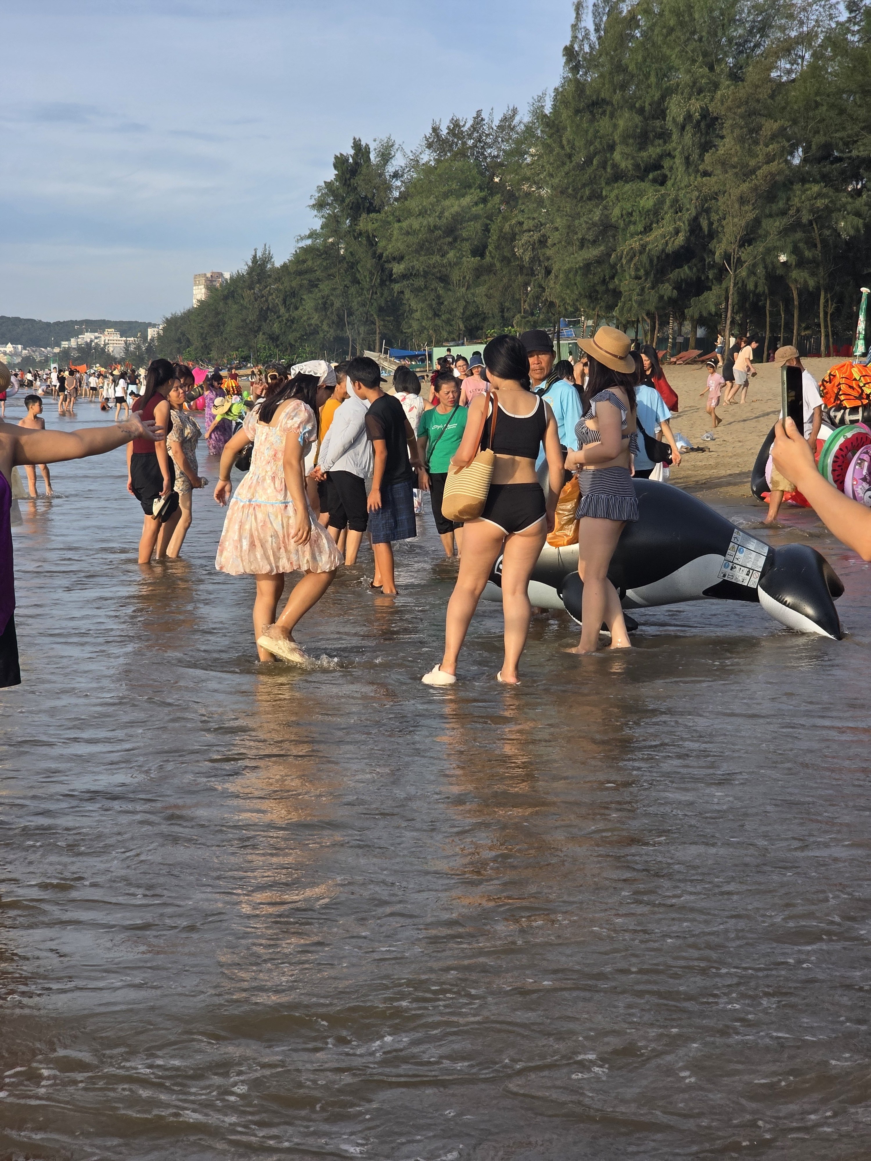 20250719_062349 (1).jpg