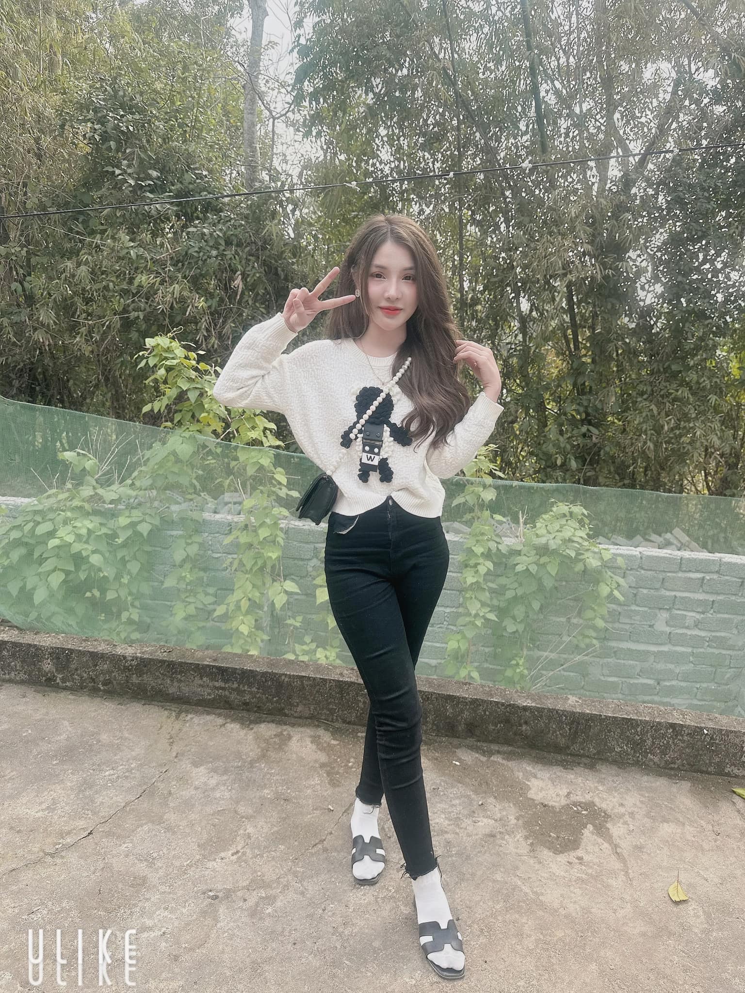 my cún đền lừ.jpg