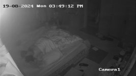 20240820111710086_Kênh 01_675046438.jpg