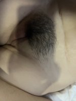 IMG_20231005_071315 (1).jpg