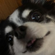 narutouchiha10lop9a62021