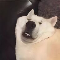 Wibu Tiên Trưởng