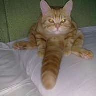 Saint Tóive Mévippi